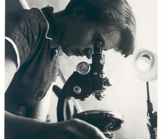 Investigating the Legacy of Rosalind Franklin in DNA Discoveries 70 Years On