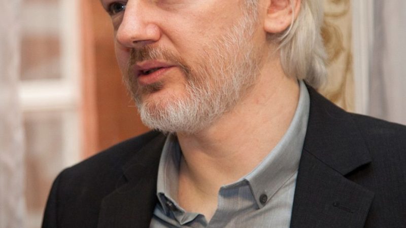 Julian Assange Calls for Enhanced Protection of Journalists at the Council of Europe