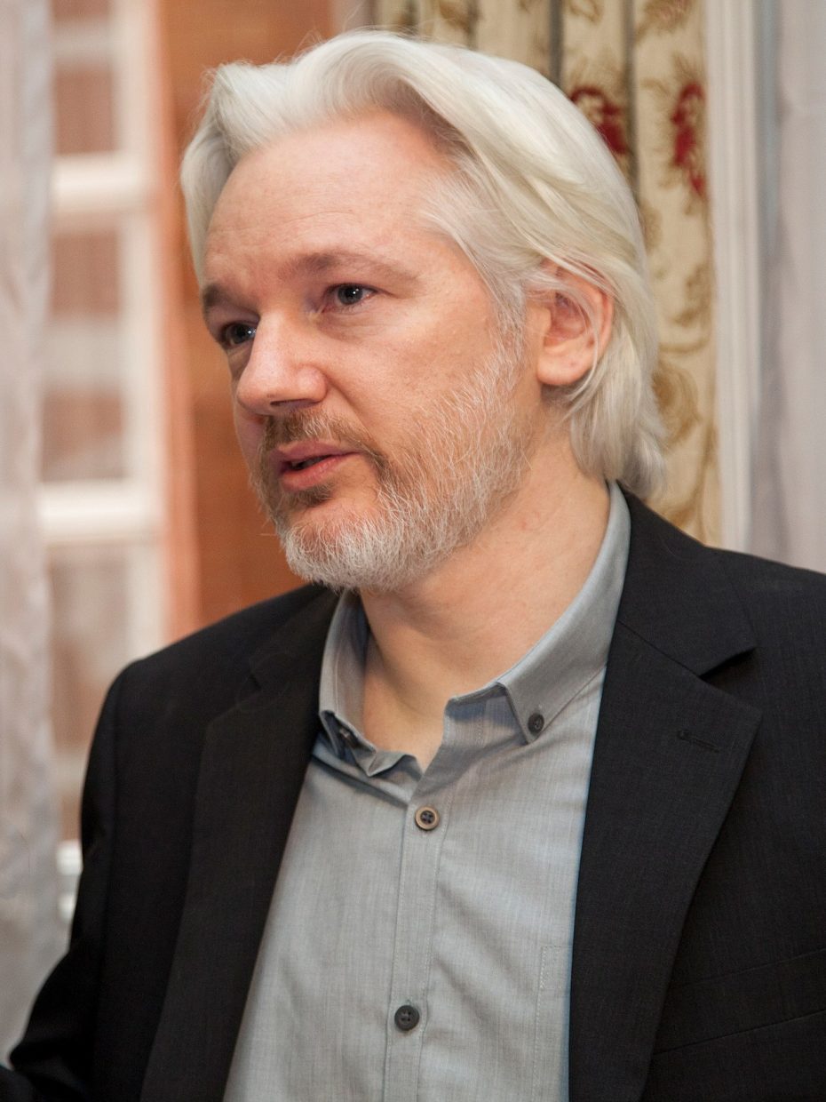 Julian Assange Calls for Enhanced Protection of Journalists at the Council of Europe