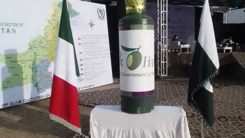 National Olive Gala 2024: Celebrating Pakistan’s Olive Potential