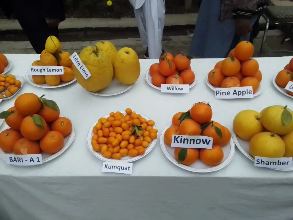 Popular Citrus Fruit Varieties displayed at an exhibition in Pakistan. Photo Credits: www.everymansci.com 