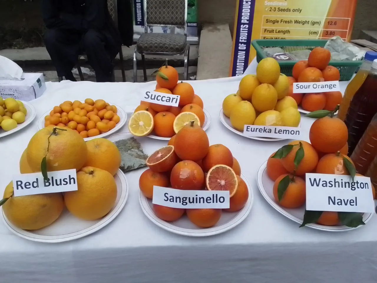 A Taste of Pakistan: The Rich Variety of Its Citrus Heritage